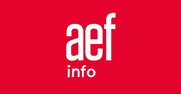 aef-info-logo-article-presse-the-tiny-car
