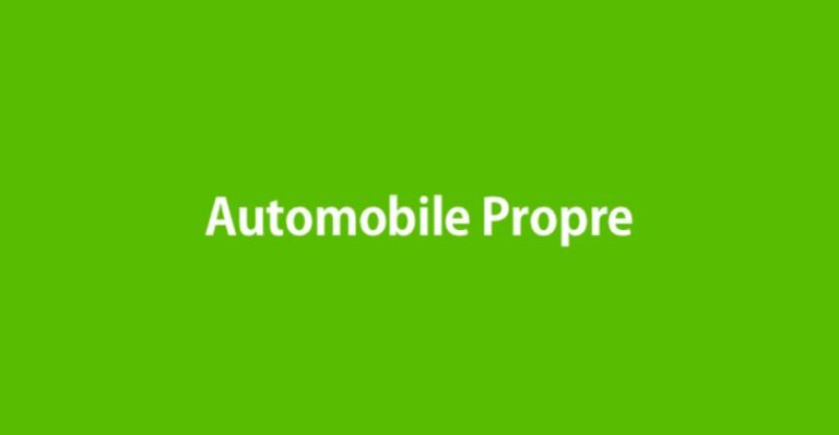 1-tiny-automobile-propre